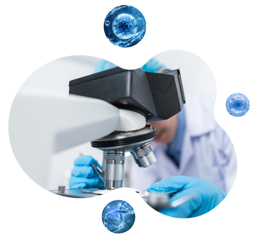 Microscope and biotechnology research visual